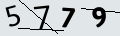 verifycode